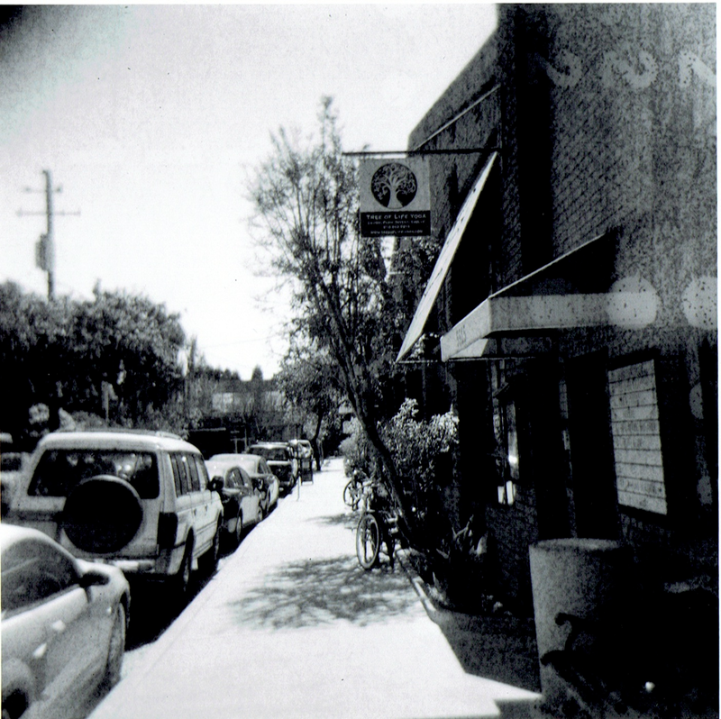 Illustration for article titled First Batch from the Holga